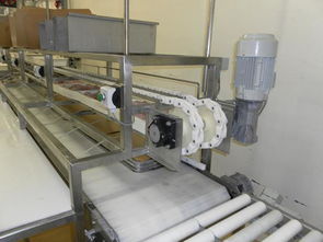 食品生產(chǎn)線圖片,食品生產(chǎn)線高清圖片 中山市東升鎮(zhèn)金諾泰機械設(shè)備廠,