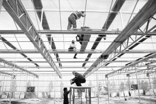 敦煌戈壁添新綠 最大智能化溫室開(kāi)工建設(shè)，科技賦能現(xiàn)代農(nóng)業(yè)新篇章